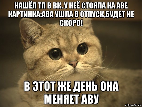 нашёл тп в вк. у неё стояла на аве картинка:ава ушла в отпуск,будет не скоро! в этот же день она меняет аву, Мем Пидрила ебаная котик