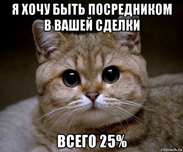 я хочу быть посредником в вашей сделки всего 25%, Мем Пидрила Ебаная