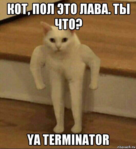 кот, пол это лава. ты что? ya terminator, Мем  Полукот