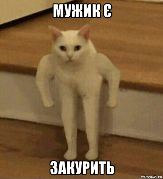 мужик є закурить, Мем  Полукот