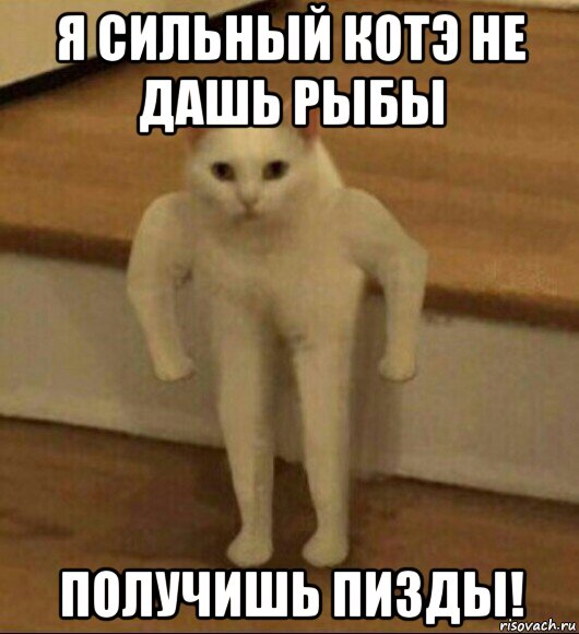 я сильный котэ не дашь рыбы получишь пизды!, Мем  Полукот