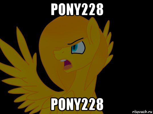 pony228 pony228, Мем  Пони1