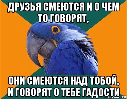 друзья смеются и о чем то говорят, они смеются над тобой, и говорят о тебе гадости, Мем Попугай параноик