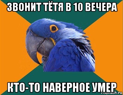 звонит тётя в 10 вечера кто-то наверное умер, Мем Попугай параноик