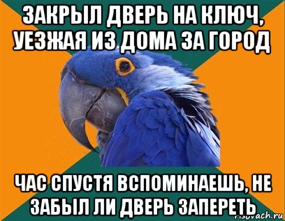 закрыл дверь на ключ, уезжая из дома за город час спустя вспоминаешь, не забыл ли дверь запереть, Мем Попугай параноик