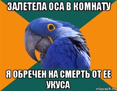 залетела оса в комнату я обречен на смерть от ее укуса, Мем Попугай параноик