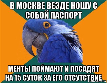 в москве везде ношу с собой паспорт менты поймают и посадят на 15 суток за его отсутствие, Мем Попугай параноик