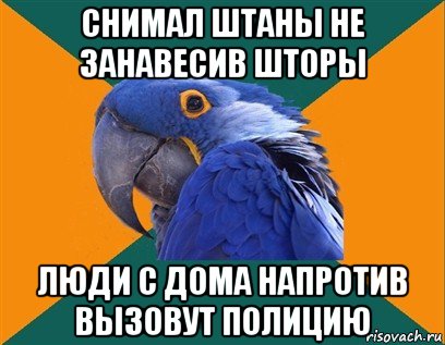 снимал штаны не занавесив шторы люди с дома напротив вызовут полицию, Мем Попугай параноик