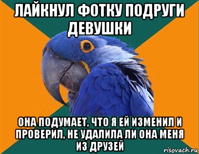 лайкнул фотку подруги девушки она подумает, что я ей изменил и проверил, не удалила ли она меня из друзей, Мем Попугай параноик