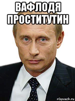 вафлодя проститутин , Мем Путин