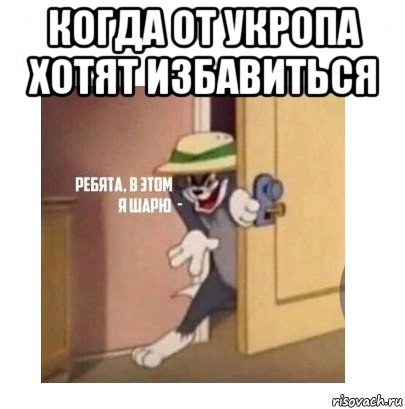 когда от укропа хотят избавиться , Мем Ребята я в этом шарю