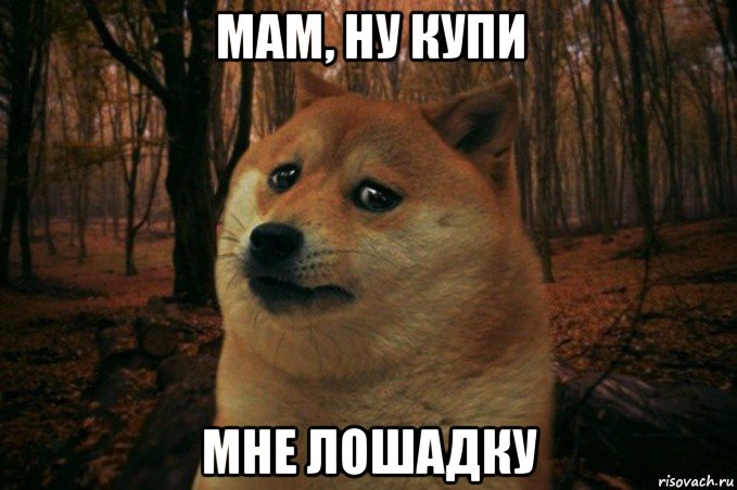 мам, ну купи мне лошадку, Мем SAD DOGE