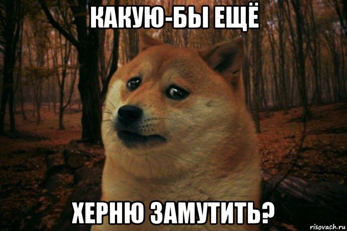 какую-бы ещё херню замутить?, Мем SAD DOGE