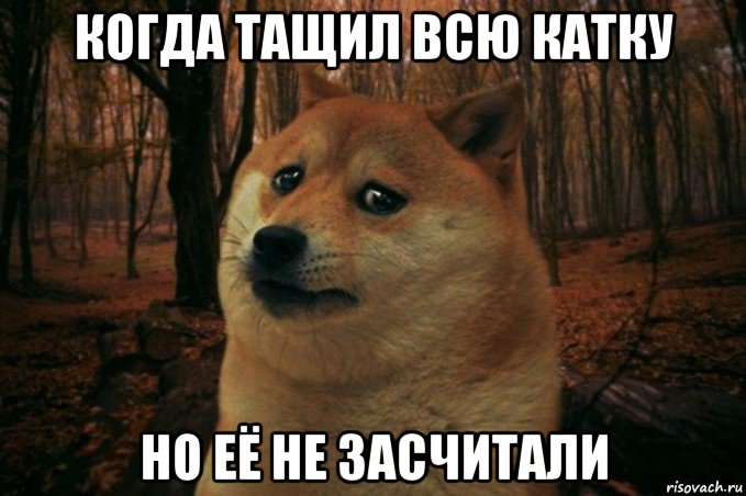 когда тащил всю катку но её не засчитали, Мем SAD DOGE