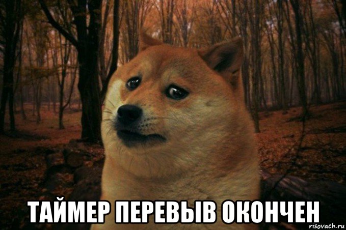  таймер перевыв окончен, Мем SAD DOGE