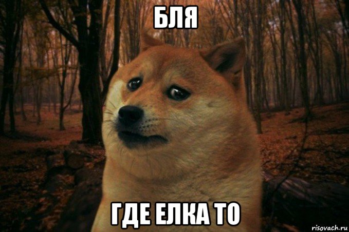 бля где елка то, Мем SAD DOGE