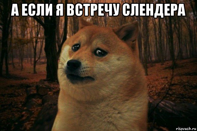 а если я встречу слендера , Мем SAD DOGE