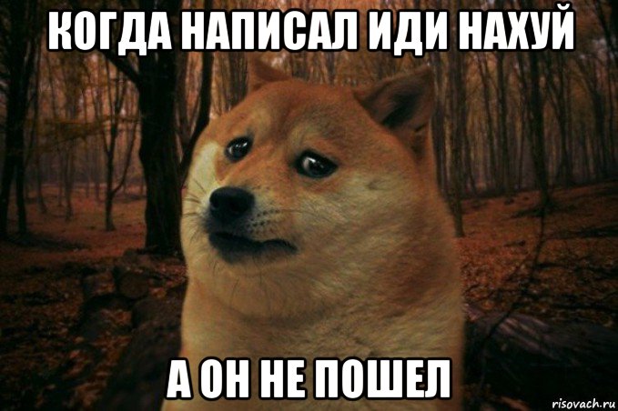 когда написал иди нахуй а он не пошел, Мем SAD DOGE