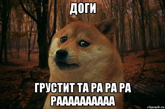 доги грустит та ра ра ра раааааааааа, Мем SAD DOGE