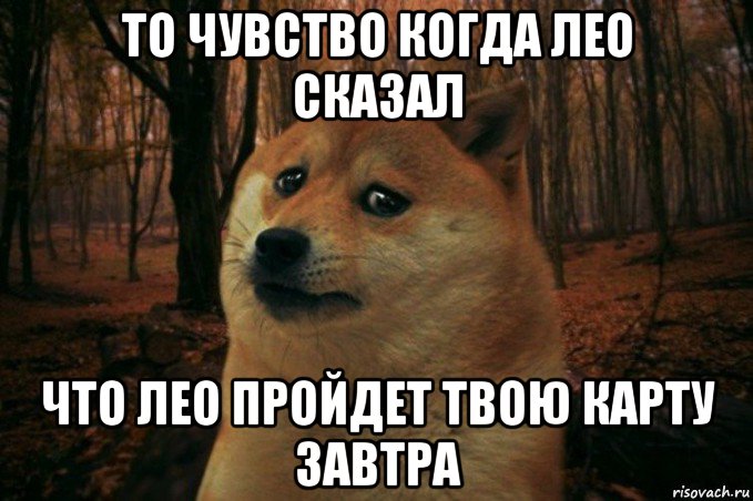 то чувство когда лео сказал что лео пройдет твою карту завтра, Мем SAD DOGE