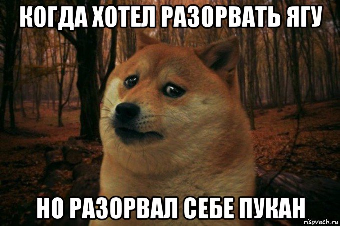 когда хотел разорвать ягу но разорвал себе пукан, Мем SAD DOGE