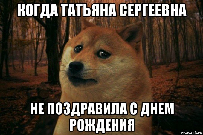 когда татьяна сергеевна не поздравила с днем рождения, Мем SAD DOGE