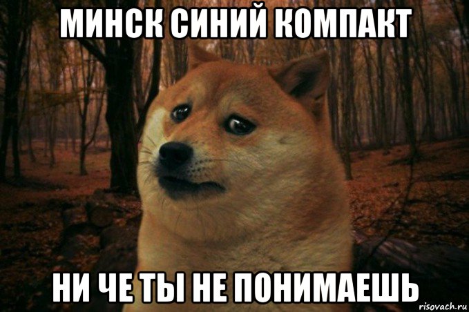 минск синий компакт ни че ты не понимаешь, Мем SAD DOGE