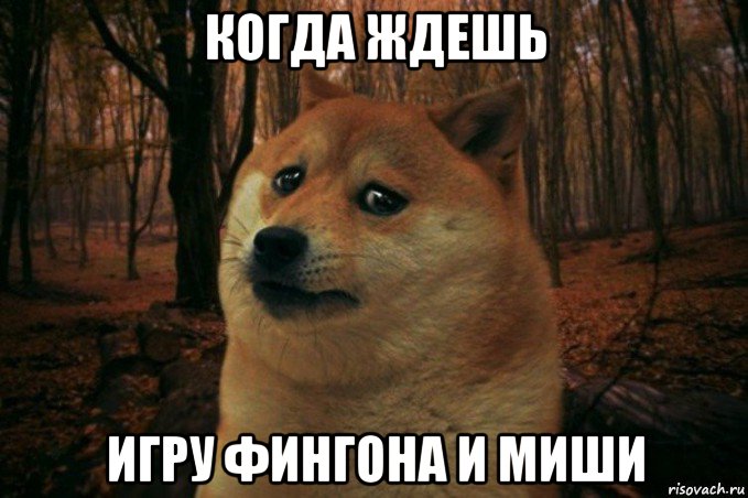 когда ждешь игру фингона и миши, Мем SAD DOGE