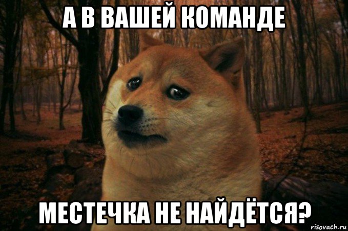 а в вашей команде местечка не найдётся?, Мем SAD DOGE