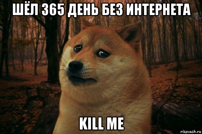 шёл 365 день без интернета kill me, Мем SAD DOGE