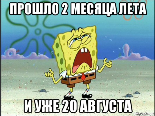 прошло 2 месяца лета и уже 20 августа, Мем Спанч Боб плачет