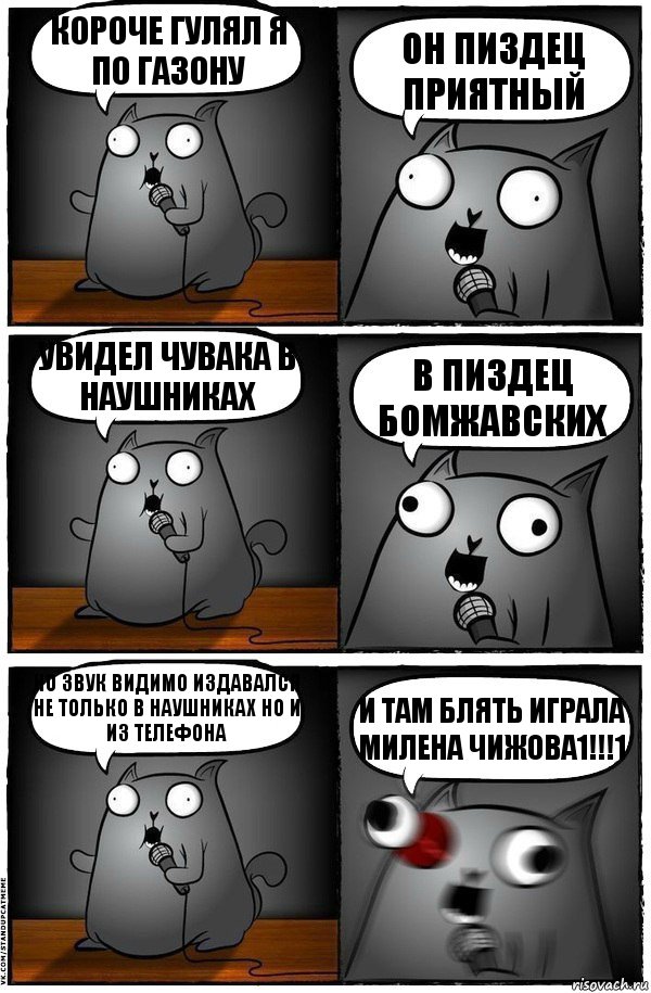 короче гулял я по газону он пиздец приятный увидел чувака в наушниках в пиздец бомжавских но звук видимо издавался не только в наушниках но и из телефона И ТАМ БЛЯТЬ ИГРАЛА МИЛЕНА ЧИЖОВА1!!!1, Комикс  Стендап-кот