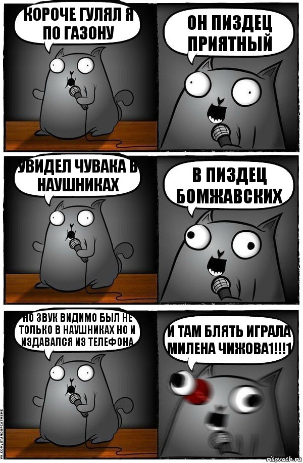 короче гулял я по газону он пиздец приятный увидел чувака в наушниках в пиздец бомжавских но звук видимо был не только в наушниках но и издавался из телефона И ТАМ БЛЯТЬ ИГРАЛА МИЛЕНА ЧИЖОВА1!!!1, Комикс  Стендап-кот