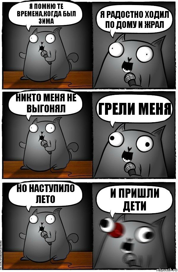 Я помню те времена,когда был зима Я радостно ходил по дому и жрал Никто меня не выгонял Грели меня но наступило лето И пришли дети, Комикс  Стендап-кот