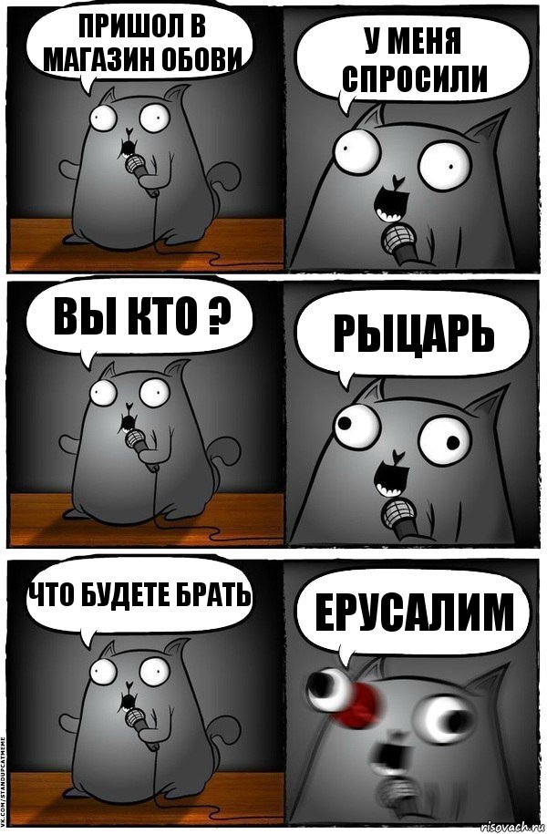 пришол в магазин обови у меня спросили вы кто ? рыцарь что будете брать ЕРУСАЛИМ, Комикс  Стендап-кот