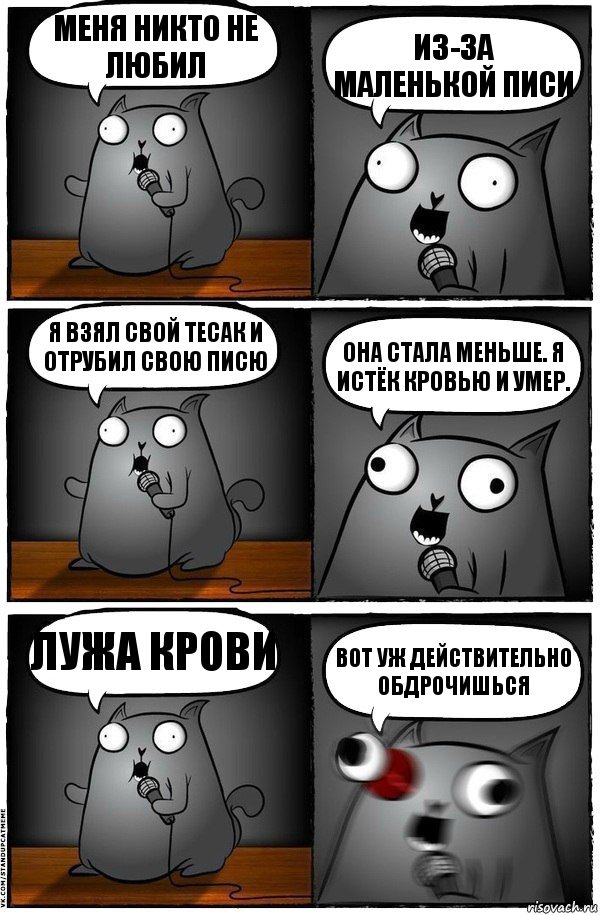 Меня Никто не любил Из-за маленькой писи Я взял свой тесак и отрубил свою писю Она стала меньше. Я истёк кровью и умер. лужа крови Вот уж действительно обдрочишься, Комикс  Стендап-кот