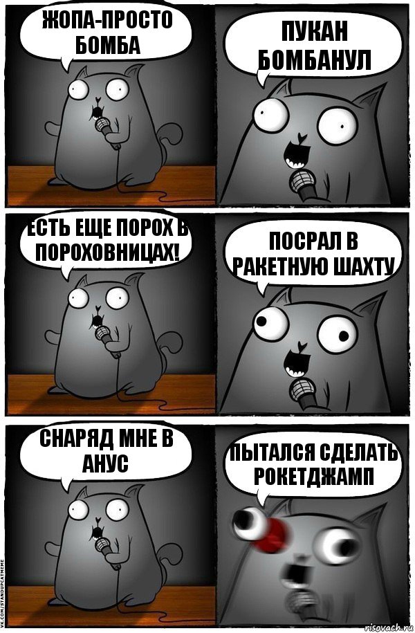 Жопа-просто бомба Пукан бомбанул Есть еще порох в пороховницах! Посрал в ракетную шахту Снаряд мне в анус Пытался сделать Рокетджамп, Комикс  Стендап-кот