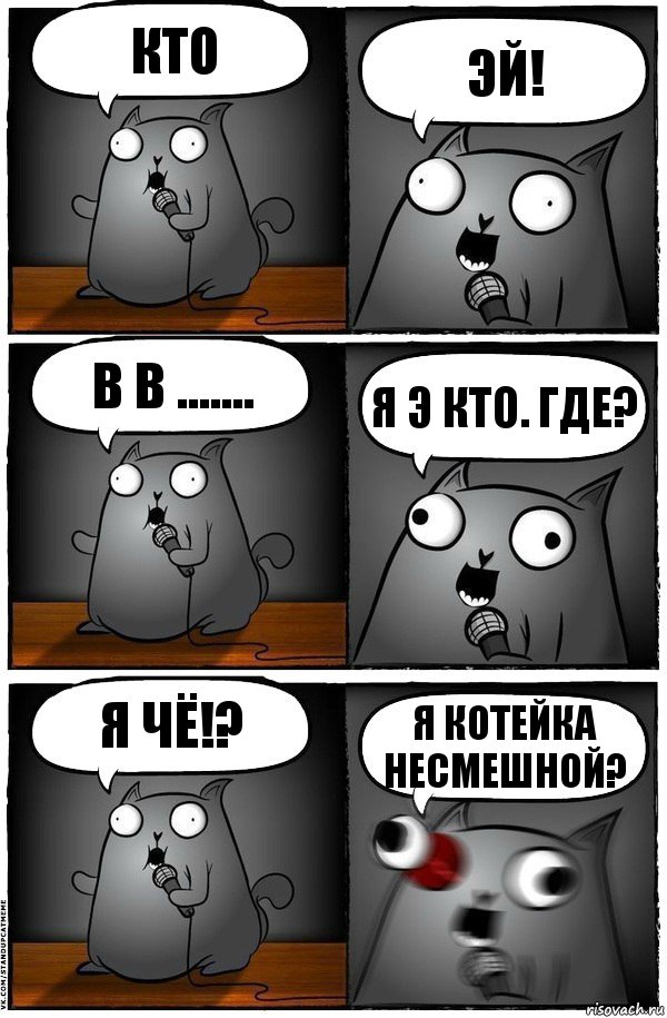 кто эй! в в ....... я э кто. где? я чё!? я котейка несмешной?, Комикс  Стендап-кот