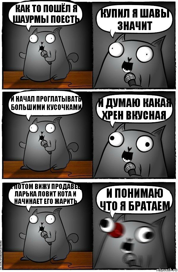 как то пошёл я шаурмы поесть купил я шавы значит и начал проглатывать большими кусочками и думаю какая хрен вкусная а потом вижу продавец ларька ловит кота и начинает его жарить и понимаю что я братаем, Комикс  Стендап-кот