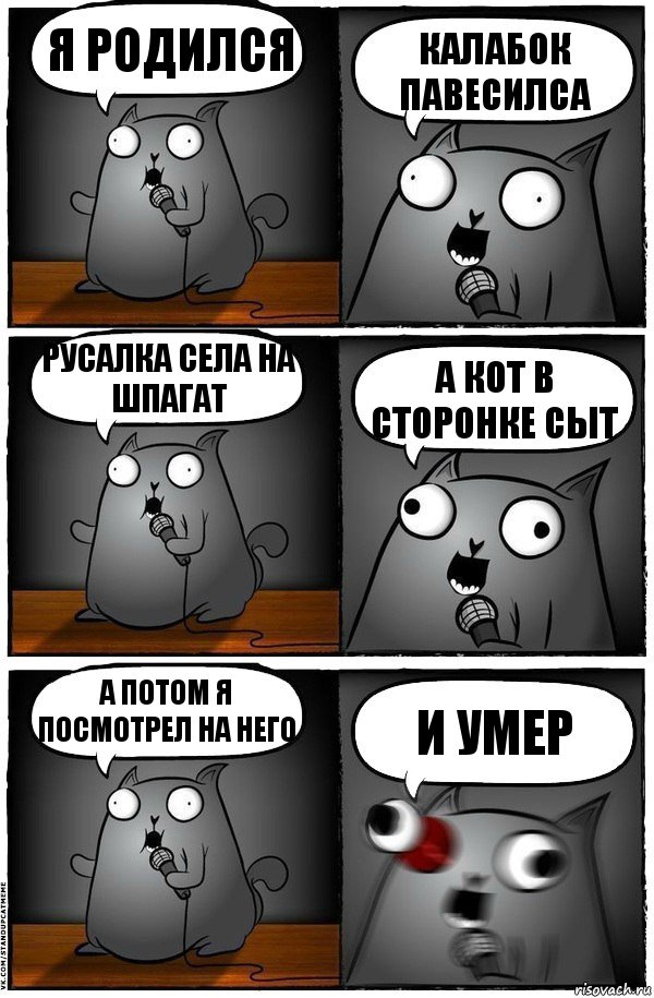 Я РОДИЛСЯ КАЛАБОК ПАВЕСИЛСА Русалка села на шпагат А КОТ В СТОРОНКЕ СЫТ А потом я посмотрел на него И УМЕР, Комикс  Стендап-кот