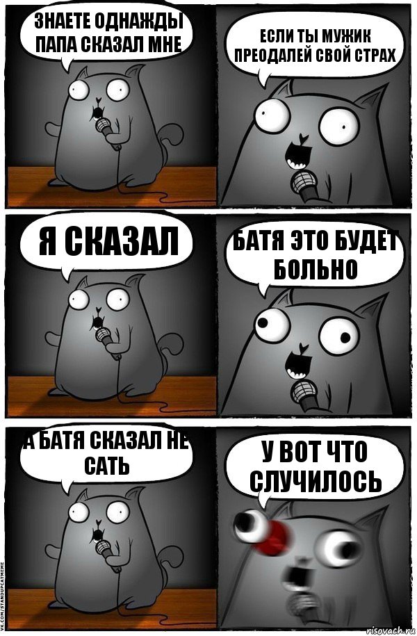 знаете однажды папа сказал мне если ты мужик преодалей свой страх я сказал батя это будет больно а батя сказал не сать у вот что случилось, Комикс  Стендап-кот