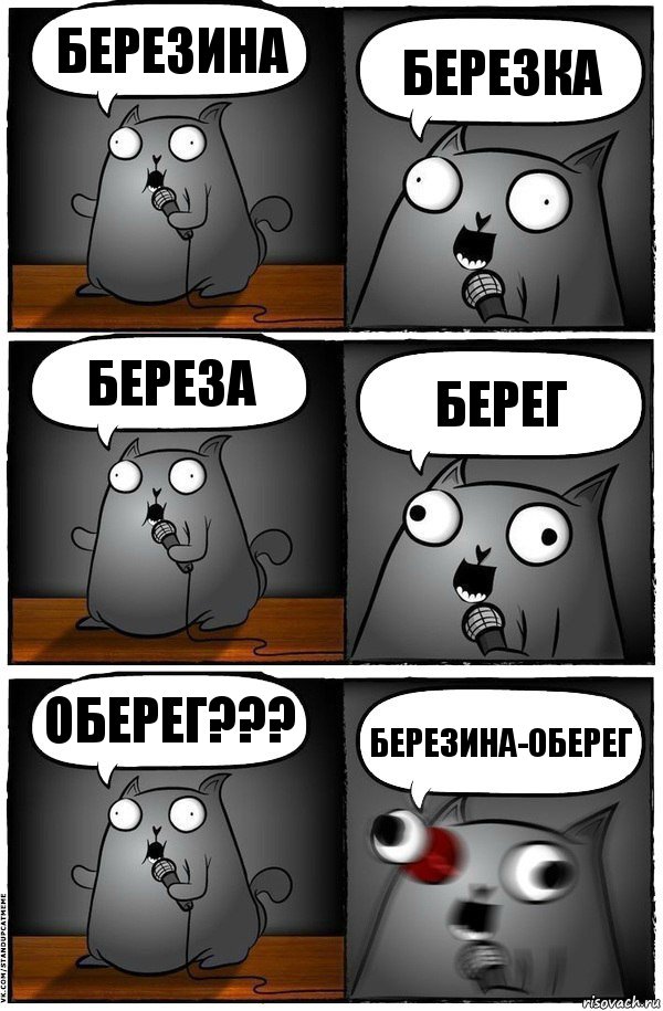 Березина Березка Береза Берег Оберег??? Березина-оберег