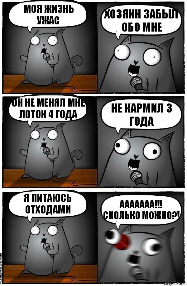 моя жизнь ужас хозяин забыл обо мне он не менял мне лоток 4 года не кармил 3 года я питаюсь отходами ААААААА!!! Сколько можно?!