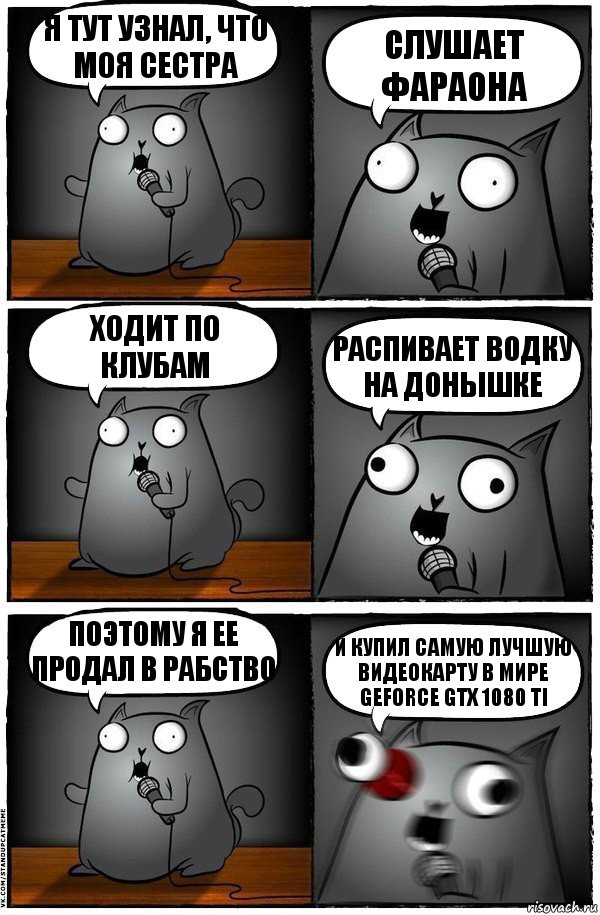 Я тут узнал, что моя сестра Слушает фараона ходит по клубам распивает водку на донышке Поэтому я ее продал в рабство И КУПИЛ САМУЮ ЛУЧШУЮ ВИДЕОКАРТУ В МИРЕ GeForce GTX 1080 Ti, Комикс  Стендап-кот