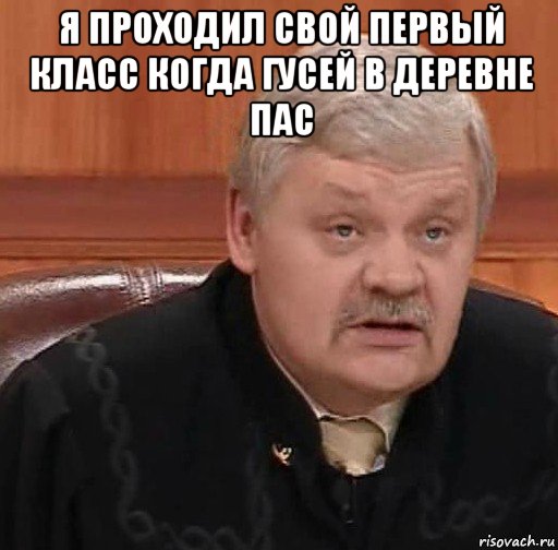 я проходил свой первый класс когда гусей в деревне пас , Мем Судья