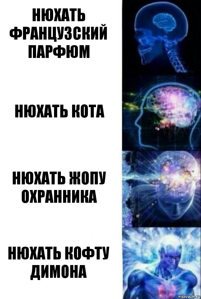 Нюхать французский парфюм Нюхать кота Нюхать жопу охранника Нюхать кофту Димона, Комикс  Сверхразум