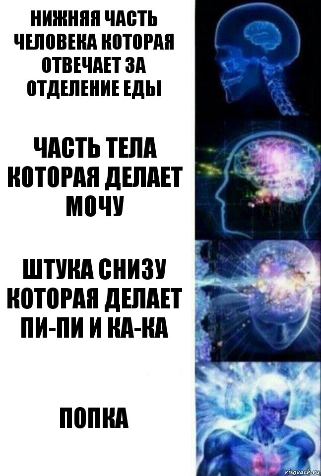 Нижняя часть человека которая отвечает за отделение еды часть тела которая делает мочу штука снизу которая делает пи-пи и ка-ка Попка, Комикс  Сверхразум