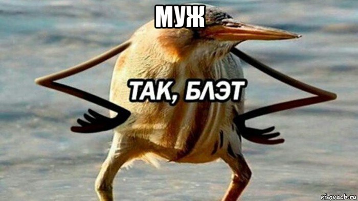 муж 