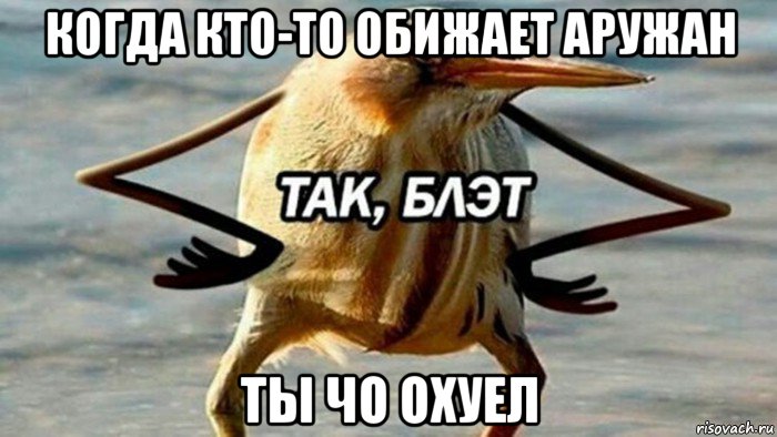 когда кто-то обижает аружан ты чо охуел