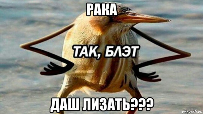 рака даш лизать???